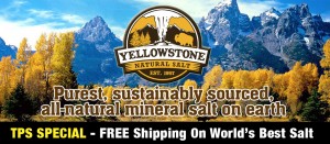 Yellowstone Homepage Banner